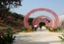 富麗灣桃花島