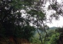 大石頭風景區