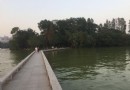 芳華洲