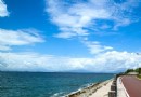 熊貓黃金海岸
