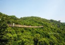 過江龍索橋