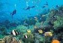 亞龍灣海底世界