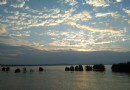 杏林大橋