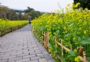 忠侖公園