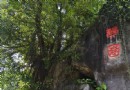 琴園
