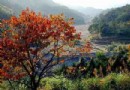 禾山