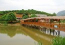 龍台山生態園