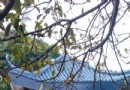 玉融公園