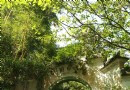 煙台山公園