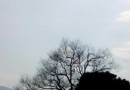 鵝仙洞自然風景區