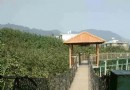 高寨村