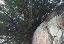 九仙山