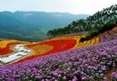 十裡藍山尋夢谷