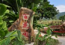 漳州東南花都