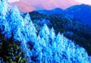 九仙山風景區