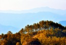 武夷山森林公園