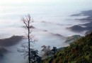 大仙峰自然保護區