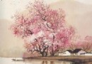 春天來桃花源感受世外桃源