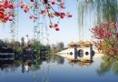 揭秘旅游消費陷阱：旅游附加費