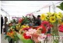浙江花木城