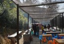 蕭山湖湘真人CS基地