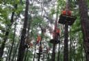 大奇山瘋狂螞蟻冒險森林樂園