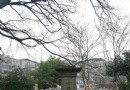 古錢塘門