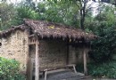 西溪人家