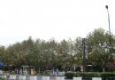 絲聯166創意園