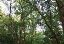 三台山景區