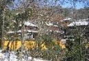 抱樸道院