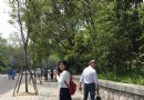 白樂橋