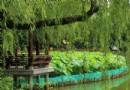 采荷公園