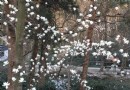 萬向公園