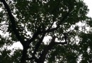 浙江大學城市學院南校區