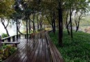 上香古道