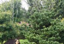 半山國家森林公園