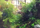 蕭山博物館