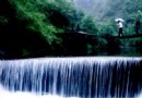 大奇山國家森林公園
