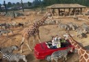 杭州野生動物世界