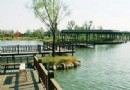 春曉公園