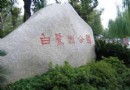 白鹭洲