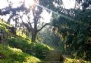 明泉櫻桃谷風景區