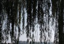 瓜渚湖