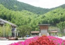 大香林