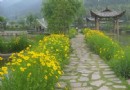 奇奇田園