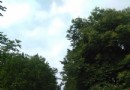 白鶴公園