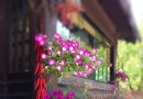 北侖森林植物園