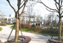 白沙公園