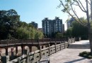 劍橋公園